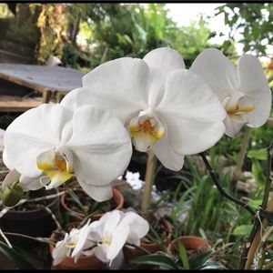 Why is no one buying my shoes